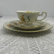 Bavaria Sammeltasse Untertasse