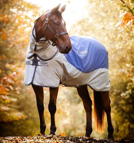 Horseware rambo autumn - horseware,