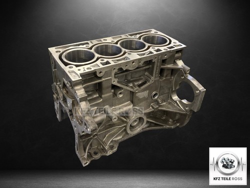 Generalüberholt motorblock - generalüberholt,