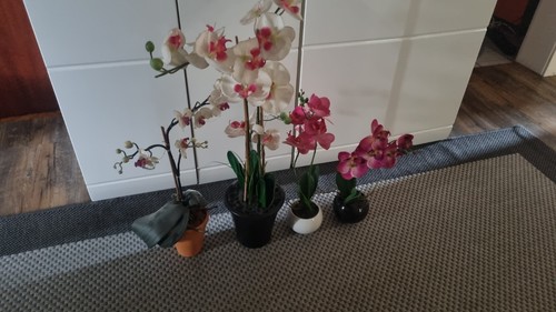 Orchideen kunstblumen - orchideen,