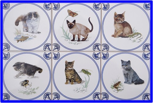 Katzen fliesen delfter - katzen,