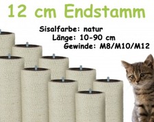 12 cm Endsisalstamm