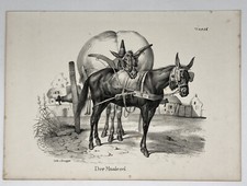  Der Maulesel, Orginal Litho