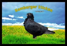 Fußmatte Schmutzfangmatte Taube Hamburger Sticken schwarz F2509