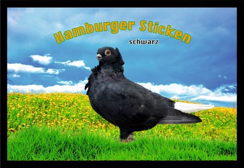 Fußmatte schmutzfangmatte - fußmatte,