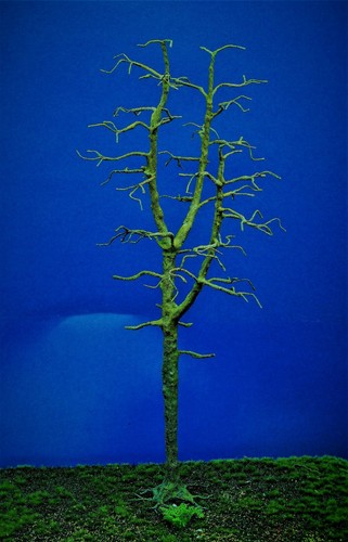 Diorama modell nadelbäume - nadelbäume,, 1