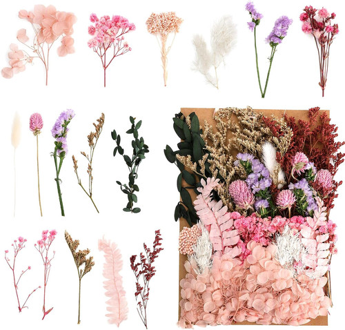 Trockenblumen bastelset für - trockenblumen,
