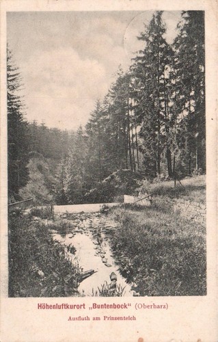 Buntenbock oberharz - ak,