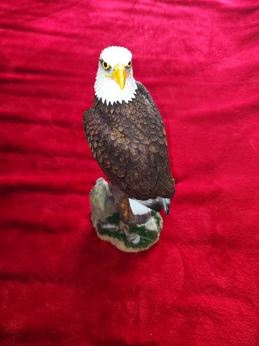 Cornelißen weißkopfseeadler - cornelißen,