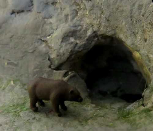 Braunbär h 0 7 - ), 0,7