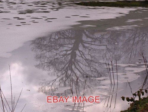 Foto reflexion brompton - foto,