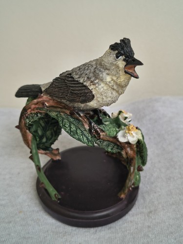 Eaglemoss vogelwelt - eaglemoss,