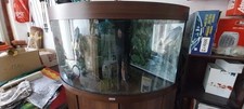 190 Liter Aquarium Top Zustand !!!!!!!