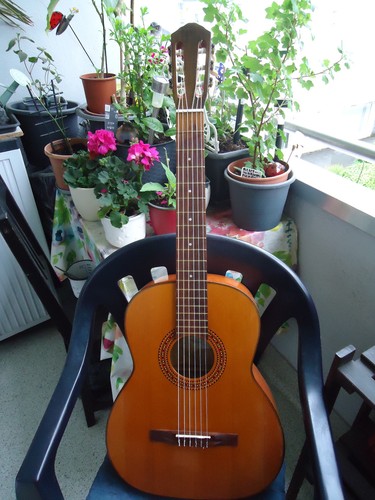 Konzertgitarre musima mit - konzertgitarre,