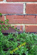 Photo 6x4 Benchmark on