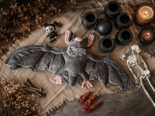 Halloween deko set große - halloween,