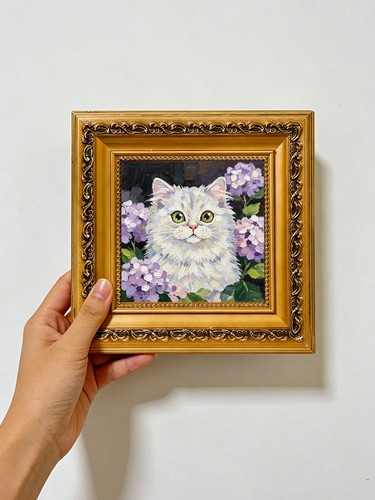 Flauschige weiße katze mit - weiße,
