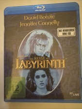 Die Reise ins Labyrinth- David
