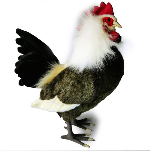 Plüsch hahn 44cm huhn - hahn, vogel