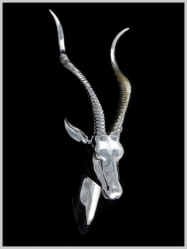 Antilope kopf geweih - antilope, kopf/geweih