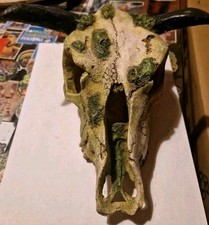 Terrarium Deko Tierschädel