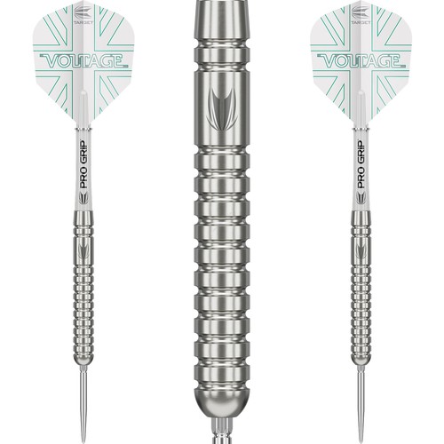 Target steeldarts swiss point - target,