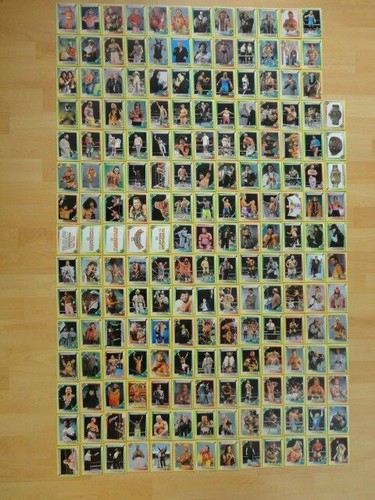 Wwf wrestling trading card - wrestling,