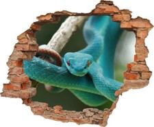 Wandtattoo Schlange Reptil -