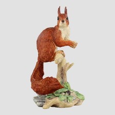 Rote Eichhörnchen Bordüre