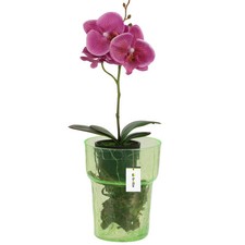 Blumentopf Blumenübertopf Glas, für Orchideen Orchideentopf D 15,5cm H 18cm Grün