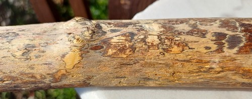 Ausgesprochen farbenfroh - ausgesprochen,