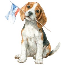 2x Sticker Beagle Car Sticker