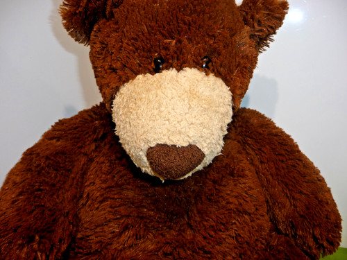 Tempur pedic teddy bär - ,
