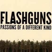 Passions of a Different Kind von Flashguns | CD | Zustand gut