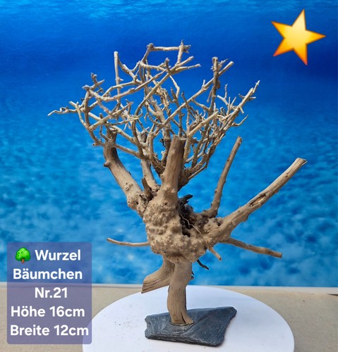 Aquarium wurzel bonsai - 🌳aquarium,