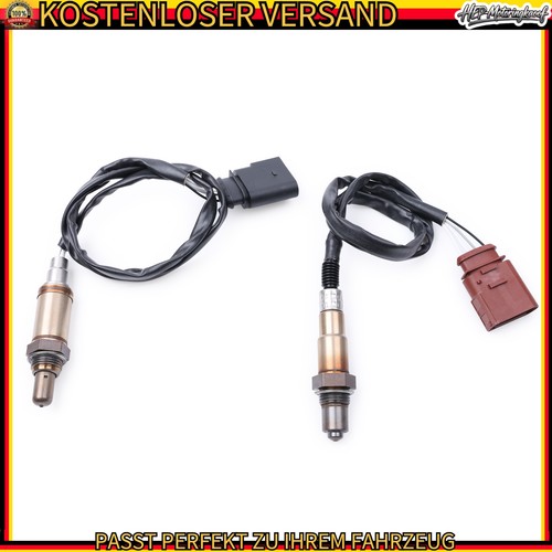 2stk neu für kat vag - 2stk,