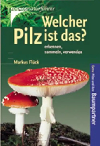 Welcher pilz ist das - ist,