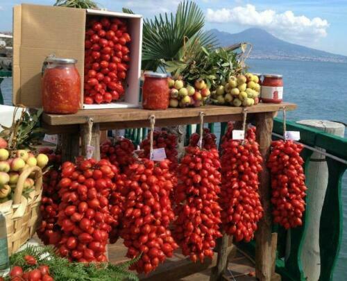 Tomatensamen piennolo del - 50,