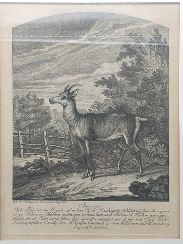 Historische tierdarstellung - historische,