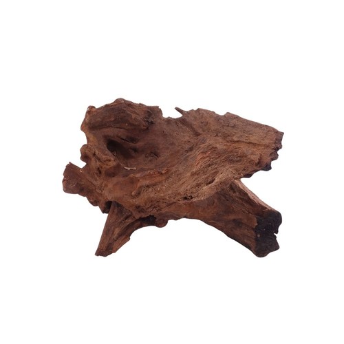 Driftwood flußwurzel - m,