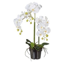 Künstliche Orchidee 62cm