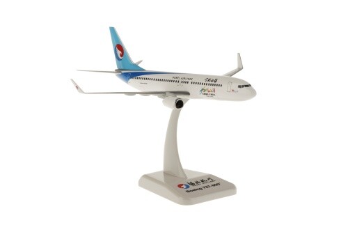 Hogan boeing 737 - hogan,