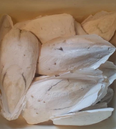 Natürliche sepiaschalen - kg,
