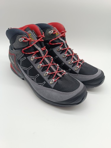 Asolo falcon - falcon,