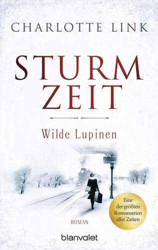 Sturmzeit wilde - bd.,