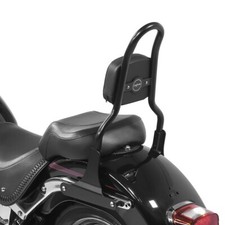 Sissy Bar CSM Fix für