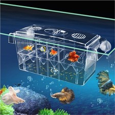 Ablaichkasten Aquarium 2