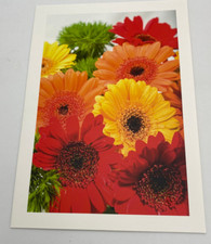 A4  Schmuckblatt-Telegramm