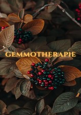 Gemmotherapie: Hilfe in der