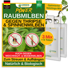 Raubmilben MIX gegen Thripse &